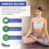 Ginkgo Biloba suplemento para claridad mental y enfoque concentrado