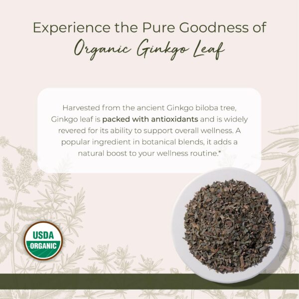 Ginkgo hoja orgánica natural para bienestar y salud