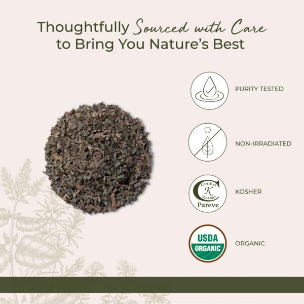 Version 1.0.0 Ginkgo orgánico cortado y tamizado en envase de 4 onzas