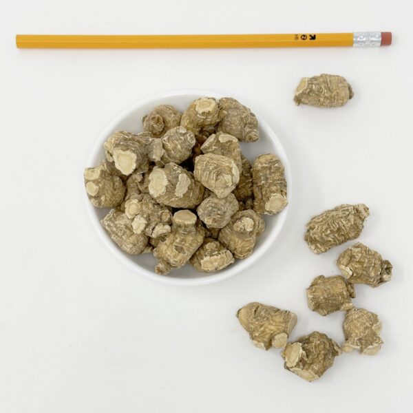 Version 1.0.0 Ginseng American DABC para mejor sueño y estrés