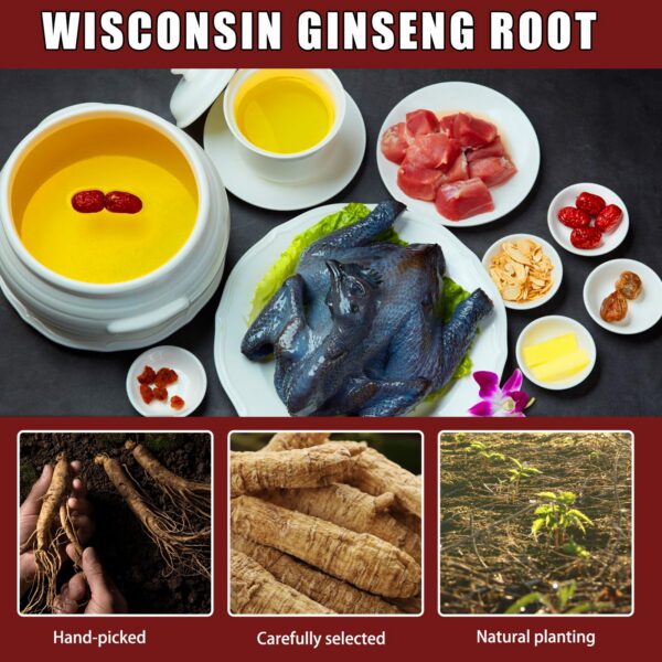 Ginseng americano natural para consumo múltiple métodos