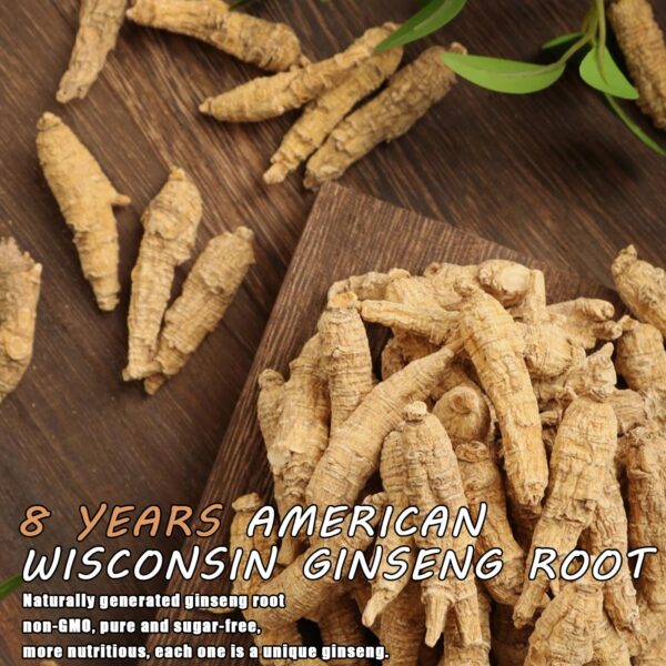 Ginseng americano raíz larga seleccionada para té y sopa