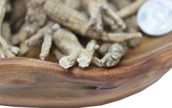 Version 1.0.0 Detalle de ginseng americano cultivado en granja Wisconsin DABC OAK LAND