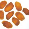Version 1.0.0 Ginseng Panax rojo rebanado raíces enteras premium