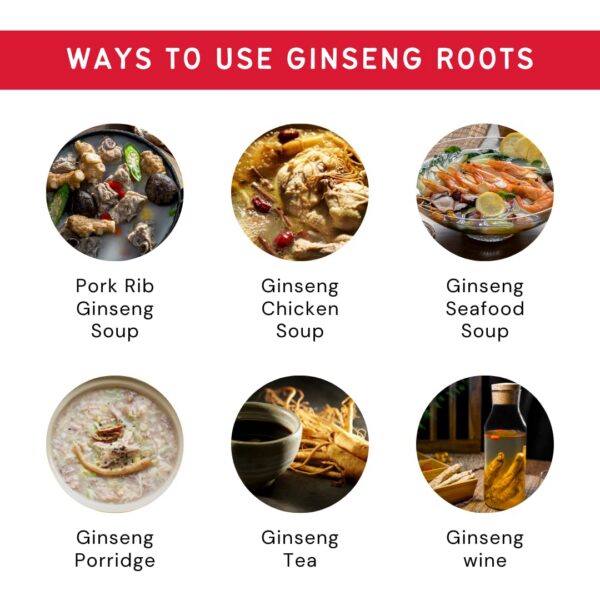 Version 1.0.0 Ginseng seco rico en ginsenósidos antioxidantes para energía