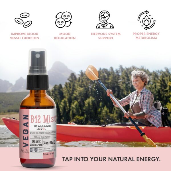 Version 1.0.0 Detalle de ingredientes de GIVOL Mist