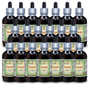 Frasco de glicerito de Teasel extracto líquido sin alcohol HerbalTerra