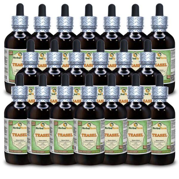 Frasco de glicerito de Teasel extracto líquido sin alcohol HerbalTerra