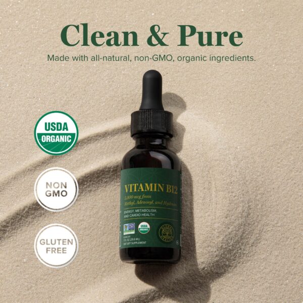 Version 1.0.0 Global Healing Center suplemento líquido B12 para metabolismo