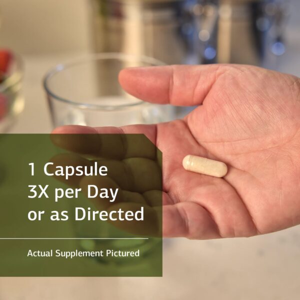Cápsula Glucosamine Synergy Standard Process