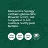 Etiqueta frontal del frasco Glucosamine Synergy