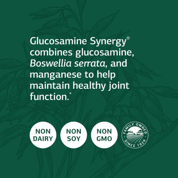Etiqueta frontal del frasco Glucosamine Synergy