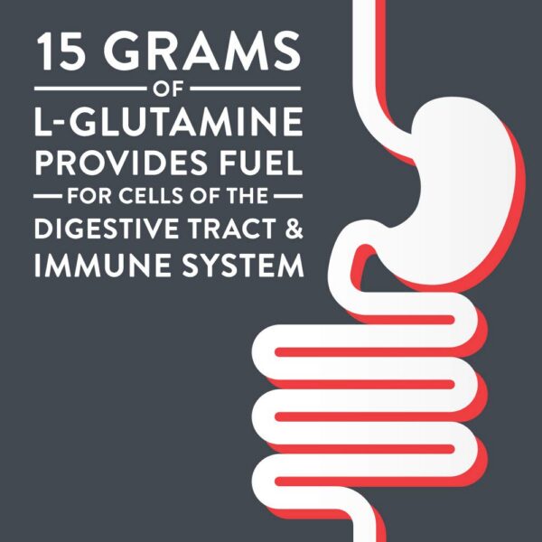 Version 1.0.0 Conjunto de 14 paquetes de Glutasolve Glutamina