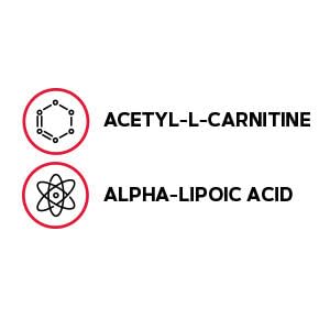 Version 1.0.0 Etiqueta de GNC Acetyl-L-Carnitine Alpha-Lipoic Acid 500 mg