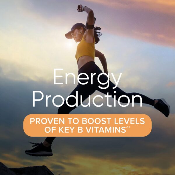 Version 1.0.0 Conjunto de productos dentro del Vitapak