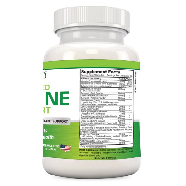 Version 1.0.0 Etiqueta frontal de Gold Banner