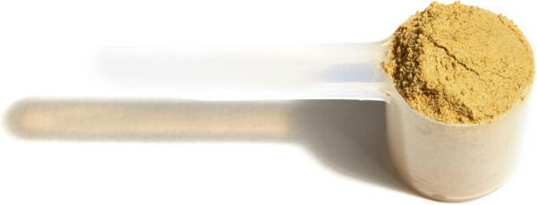 Version 1.0.0 Golden Milk Soothing Boost polvo para mezcla en bebidas y batidos