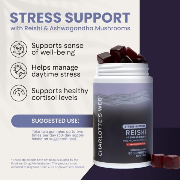 Version 1.0.0 Gomas sabor fresa Charlotte's Web con hongos adaptógenos