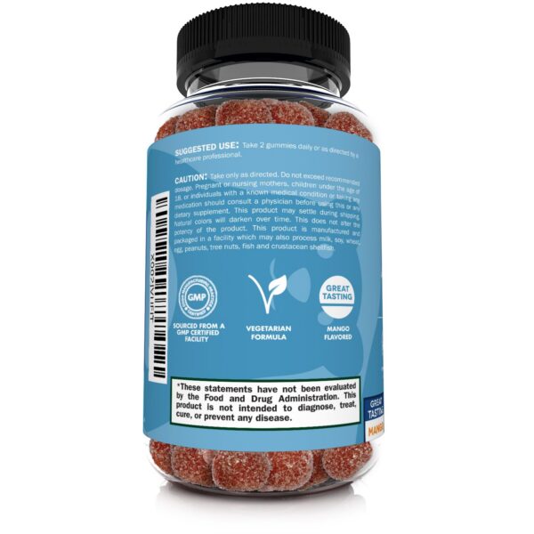 Version 1.0.0 Gomitas sabor mango Sunergetic