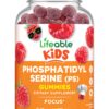 Gominolas Lifeable Fosfatidilserina para niños