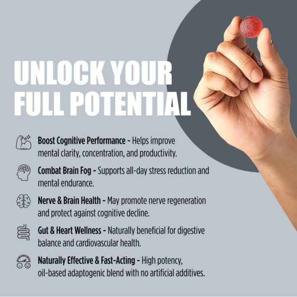 Gominolas nootrópicas para enfoque y memoria LOOSIEZ