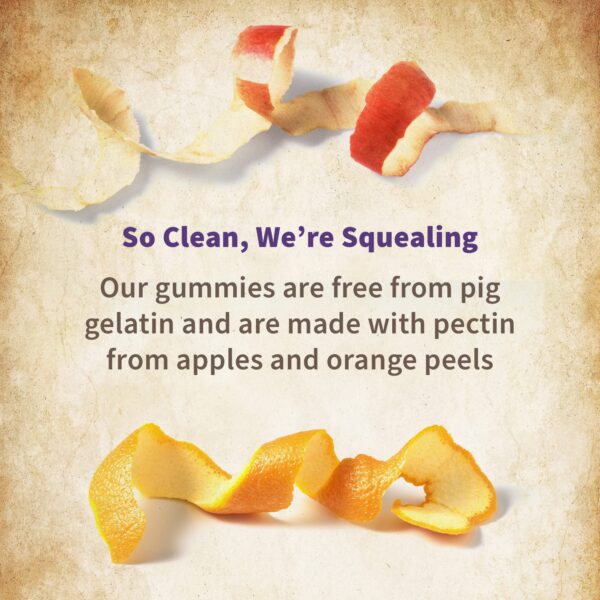 Version 1.0.0 Gominolas prenatales sabor berries naturales Garden of Life