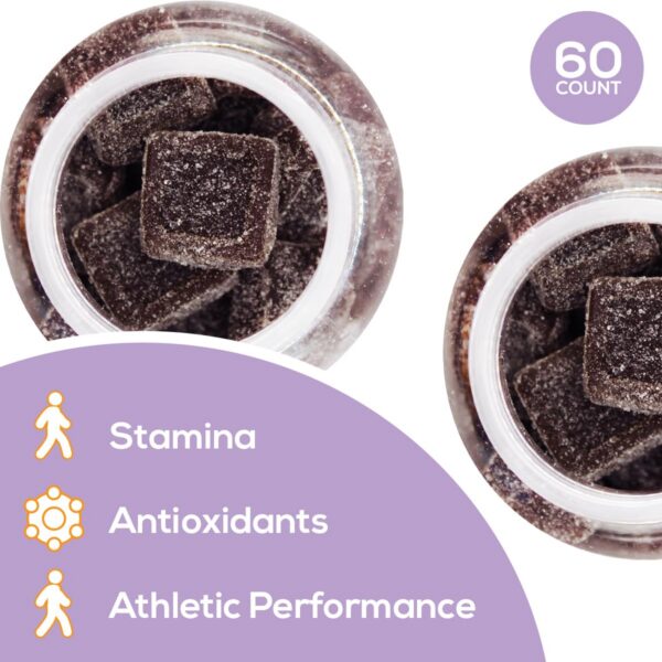 Gomitas equilibradas con 334 mg de extracto de Turkey Tail