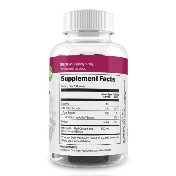 Version 1.0.0 Gomitas antioxidantes Daily Refresh mezcla de grosellas