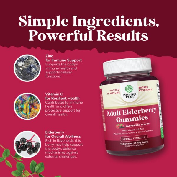 Gomitas antioxidantes saúco y zinc Natures Craft