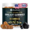 Version 1.0.0 Gomitas BloomBoost Shilajit suplemento energético sin azúcar