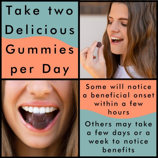 Version 1.0.0 Gomitas BRAIN WAVE con hongos adaptógenos Melena de León y Reishi