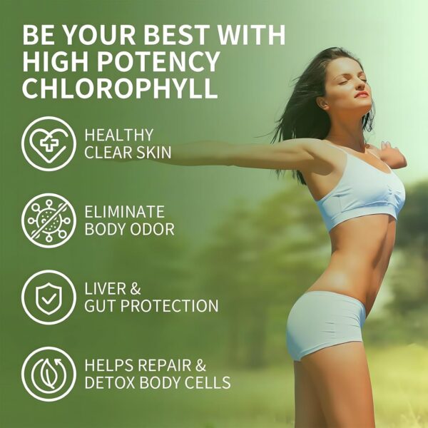 Version 1.0.0 Gomitas clorofila Sijigood vista lateral paquete