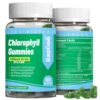 Version 1.0.0 Gomitas de clorofila sin azúcar apoyo inmunológico 60 unidades
