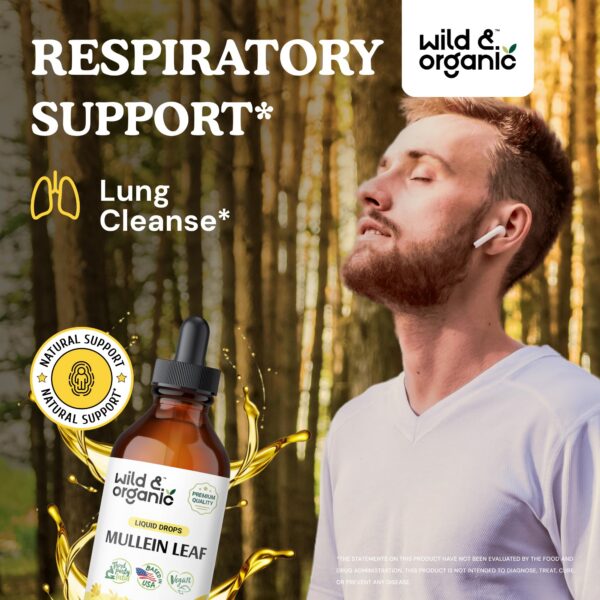 Gomitas desintoxicantes de clorofila Wild & Organic 60 unidades