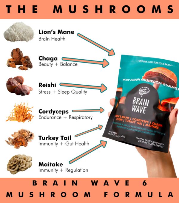 Gomitas para enfoque y energía BRAIN WAVE con hongos superalimento