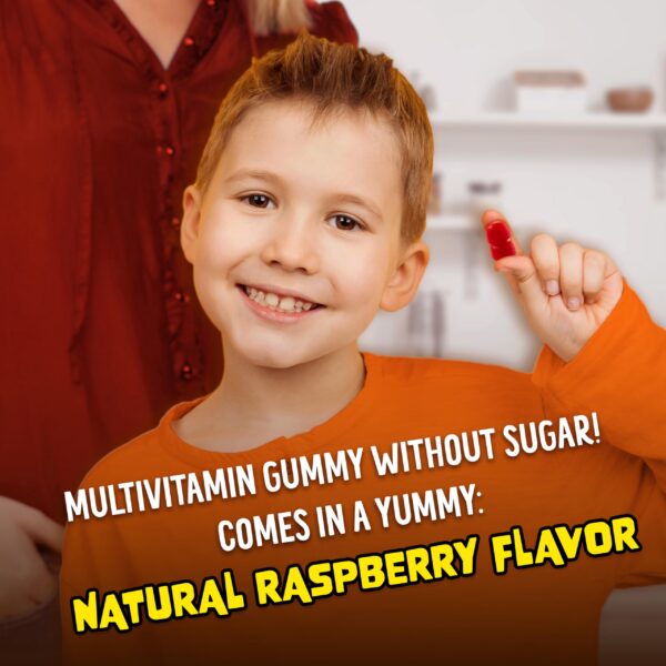 Version 1.0.0 Gomitas Flintstones vitaminas para niños sin azúcar 60 unidades