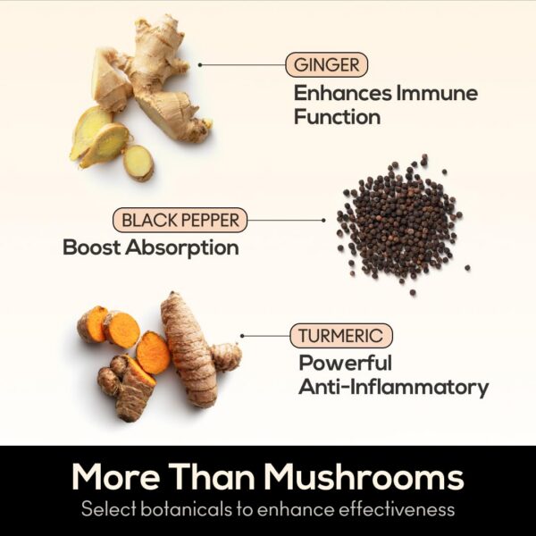 Gomitas funcionales de hongos TrueMushroom 60 unidades veganas