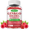 Gomitas ginkgo biloba Sijigood con ginseng y magnesio 60 unidades