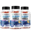 Version 1.0.0 Gomitas Healblend Sleep Well con melatonina y vitamina B6