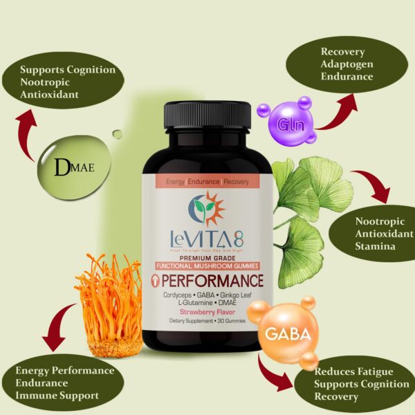 Gomitas de hongos Cordyceps LeVITA8 para adultos