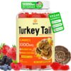Gomitas hongos turkey tail Qazwer sabor frutos rojos 60 unidades