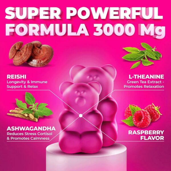 Version 1.0.0 Gomitas para mejorar el sueño y reducir el estrés con reishi