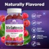 Gomitas melatonina Natvites 10mg apoyo sueño sabor baya