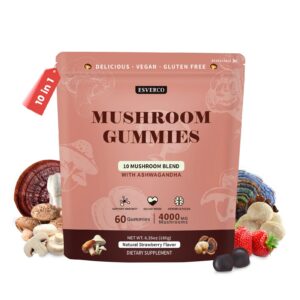 Version 1.0.0 Gomitas melena de león y ashwagandha 60 unidades