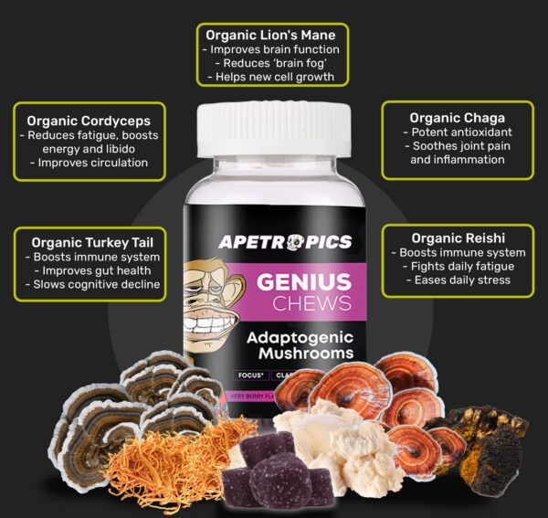 Gomitas naturales Apetropics para memoria y energía diaria