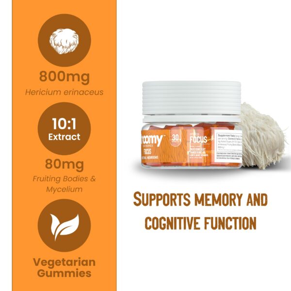 Version 1.0.0 Gomitas naturales melena de león sin gelatina ni gluten