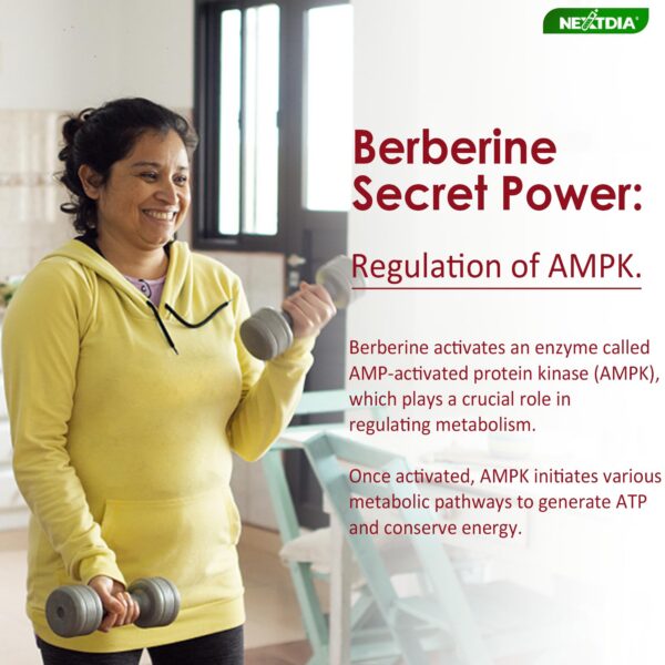 Gomitas naturales para metabolismo saludable Nextdia berberina