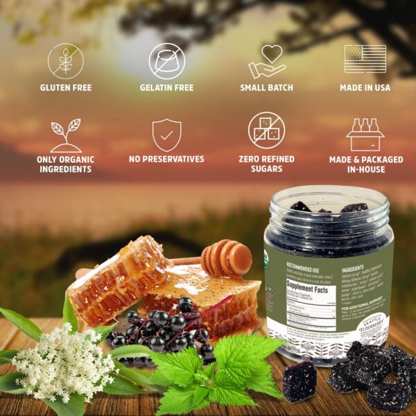 Version 1.0.0 Gomitas naturales reforzadoras de sistema inmune Seattle Elderberry
