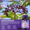 Gomitas naturales saúco negro con vitamina C y zinc