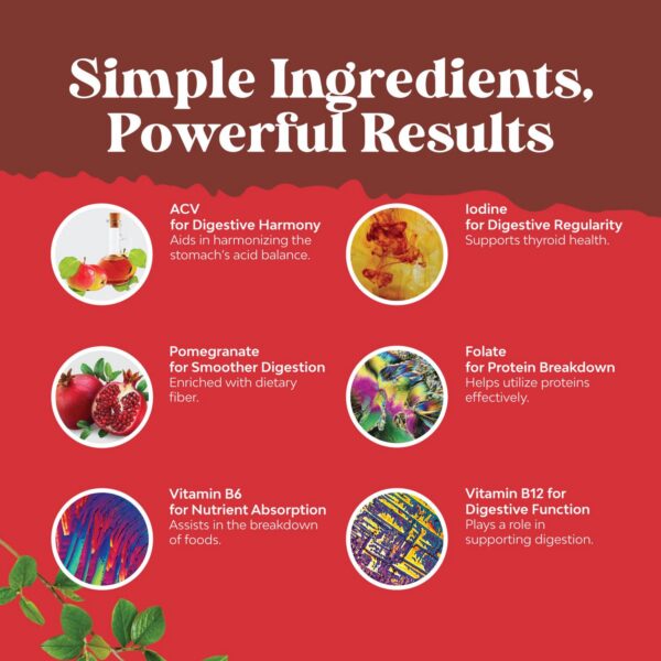 Gomitas Natures Craft apoyo energía y metabolismo saludable